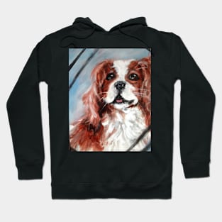 Spaniel Hoodie